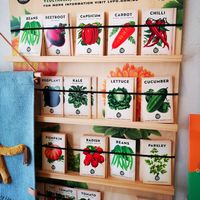  at Bodhi Books and Gifts in Newtown