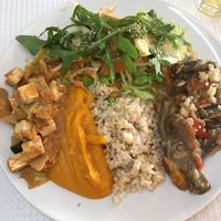 Plate with a mix of two dishes  at Granos Espaço Vegetariano in Lisbon