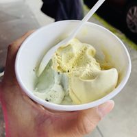 Juniper mint and golden macadamia   at Nicoco Hawaiian Gelato in Hilo