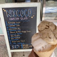   at Nicoco Hawaiian Gelato in Hilo