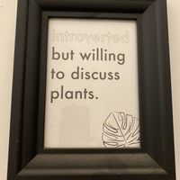 True.  at The Hungry Tapir in Kuala Lumpur