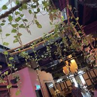 Coziest Vegan Dining Room in KL  at The Hungry Tapir in Kuala Lumpur