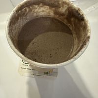   at The Hungry Tapir in Kuala Lumpur