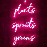 Light at The Hungry Tapir in Kuala Lumpur