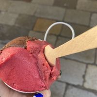 chocolate, strawberry, & raspberry  at Amorino in Venice