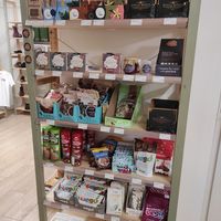 Food at VEGA-LIFE in Amsterdam