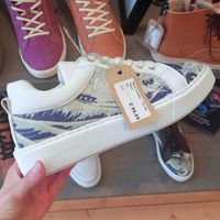  at VEGA-LIFE in Amsterdam