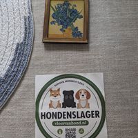  at VEGA-LIFE in Amsterdam