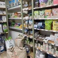   at VEGA-LIFE in Amsterdam