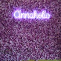 Photo backdrop for special occasion, like just getting this treat. It's photo worthy, it's that good at Cinnaholic in Schaumburg