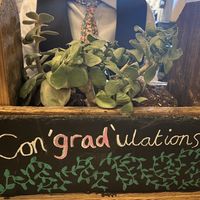 Adorable celebration planter!  at The Botanist in Leeds