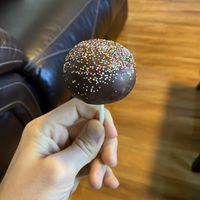 Chocolate cake pop at Lulu Green in Boston