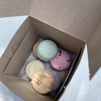   at Lulu Green in Boston