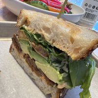   at Lulu Green in Boston