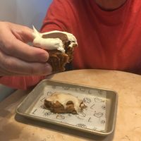 Carrot cake muffin with cream cheese frosting and ginger pear scone at Lulu Green in Boston