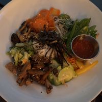 Berg Shasta   at Vegan Loving Hut Neubau in Vienna