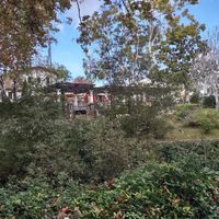 The View at Bliss Cafe in San Luis Obispo