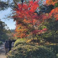  at LIGHTS Vegan Team in Fukuoka