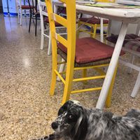   at Meublè Adriana in Sirmione