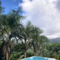 Infinity pool overlooking the rainforestt  at Yuquiyú Treehouses in Rio Grande