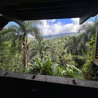 View from the bathroom. 😂  at Yuquiyú Treehouses in Rio Grande