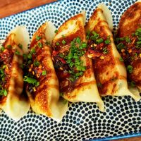 GYOZAS!!! at Vegan Sushi Bar - Kinkerstraat in Amsterdam