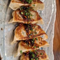 Gyoza at Vegan Sushi Bar - Kinkerstraat in Amsterdam