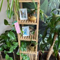  at Vegan Sushi Bar - Kinkerstraat in Amsterdam