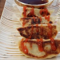 Gyoza at Vegan Sushi Bar - Kinkerstraat in Amsterdam