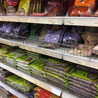 Lentils, beans and other legumes  at Reena Food Store in Rochester