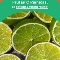 Frutas orgânicas e sistema de cultivo sustentável  at Sorvete da Reserva in Fortaleza
