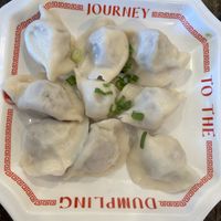 Impossible dumplings - good!   at Journey To The Dumpling in Elk Grove