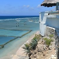  at The Chill in Penida Island