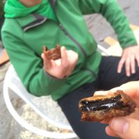 Oreos frits at Maynard in Montreal