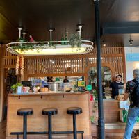   at Maynard in Montreal