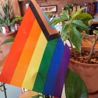  at Maynard in Montreal