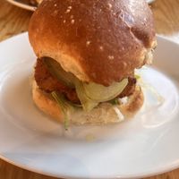   at Maynard in Montreal