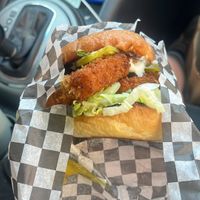   at Maynard in Montreal