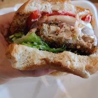  at Plant Junkie W52 in New York City