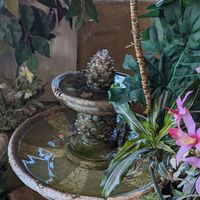 Enjoyed sitting by the fountain at Smile of Siam Thai in Shorewood