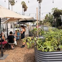   at The Plot in Oceanside