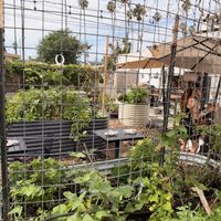   at The Plot in Oceanside