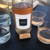 Skid Rose at The Plot in Oceanside