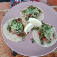 Nopal cactus tacos at Taco Loco in Auckland