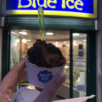 Vegan chocolate ice cream  at Il Gelato di Santa Maria in Rome