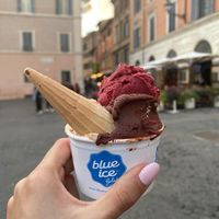 Perfecto ! at Il Gelato di Santa Maria in Rome