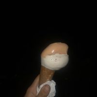   at Il Gelato di Santa Maria in Rome