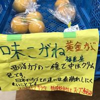 unique veges at Hakata Jomon Fukushige Market in Fukuoka