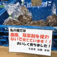 No chemical  at Hakata Jomon Fukushige Market in Fukuoka
