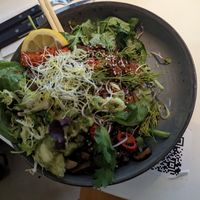  at FACTORY GIRL Restaurant. in Amsterdam